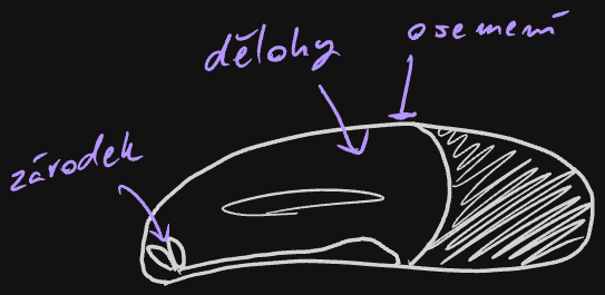 Assets/Drawing 2026-06-12 12.26.49.excalidraw.png