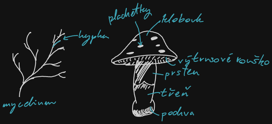 Assets/Drawing 2026-09-16 08.01.36.excalidraw.png
