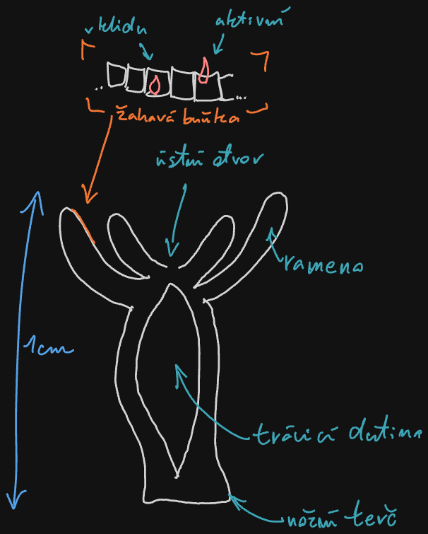 Assets/Drawing 2026-09-30 13.08.53.excalidraw.png