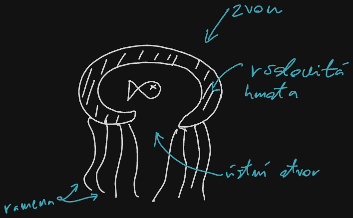 Assets/Drawing 2026-10-02 08.21.56.excalidraw.png